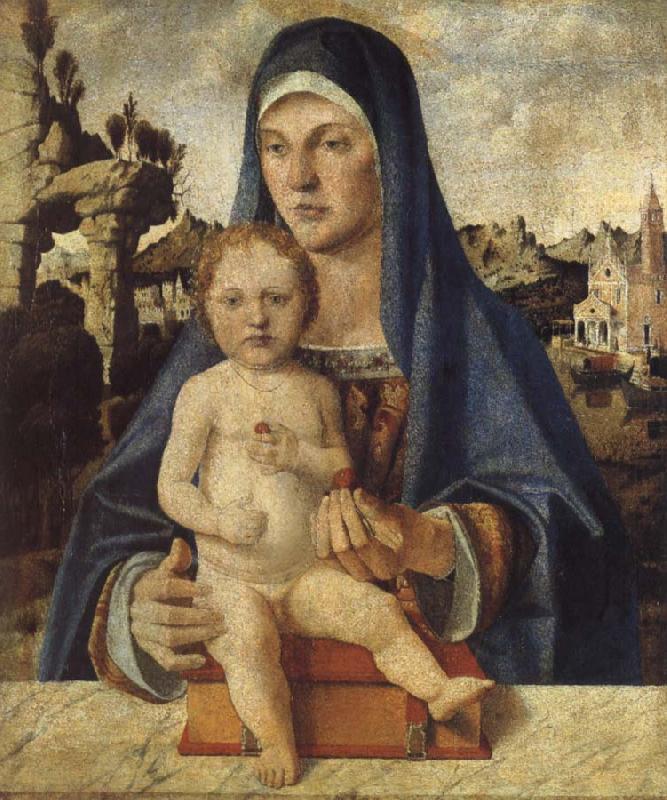 Bartolomeo Montagna The Virgin and Child china oil painting image